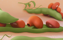 Load image into Gallery viewer, BEAN PERSONAL VIBRATOR