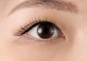 30% OFF ON SINGLE LASH IN BLOOM (Lash Extensions), lashes, eyes, extensions, promo, package