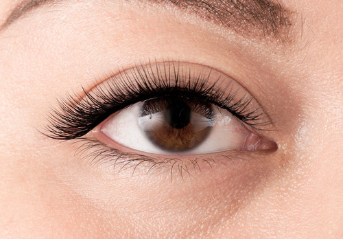30% OFF ON CLUSTER LASH IN BLOOM (Lash Extensions), lashes, extension