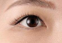 Load image into Gallery viewer, 30% OFF ON SINGLE LASH IN BLOOM (Lash Extensions), lashes, eyes, extensions, promo, package
